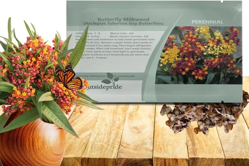 Outsidepride Gay Butterflies - Semillas de algodoncillo de mariposa, 100 piezas perennes, tolerantes al calor y a la humedad, semillas de flores