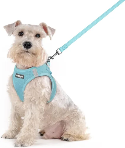 Miniatura 96 de rabbitgoo Juego de arnés para perro de tamaño pequeño y correa, chaleco ligero suave para cachorro, arnés de malla transpirable para mascotas