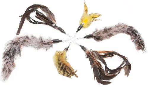 Miniatura 6 de Paquete de 6 repuestos de plumas de juguetes para gatos: añade vida al juguete favorito de tu gato con este paquete múltiple de recarga de plumas