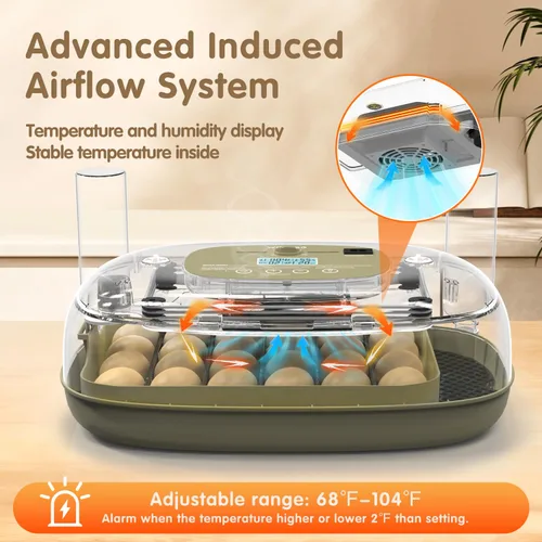 Miniatura 3 de Incubadoras para incubar huevos Incubador de huevos de pollo Visualización de huevos 360° para pollo, patos, gansos, palomas, codornices 24 huevos