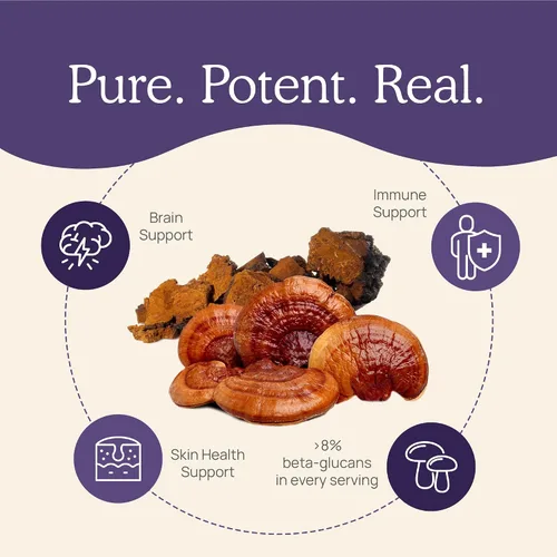 Miniatura 5 de Real Mushrooms Cápsulas de zinc y vitamina D2, con extractos orgánicos de hongos Chaga y Reishi, vitaminas para apoyo general del bienestar, vegano