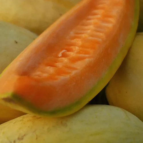 Miniatura 5 de Melón de plátano - 25 semillas - Variedad de reliquia y polinizada abierta, dulce y fácil de cultivar, semillas de frutas y verduras sin OMG