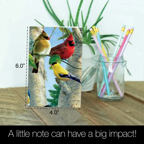 Miniatura 5 de Tree-Free Greetings EcoNotes - Juego de 12 tarjetas de notas favoritas para todas las ocasiones con sobres, 4 x 6 pulgadas (FS66507)