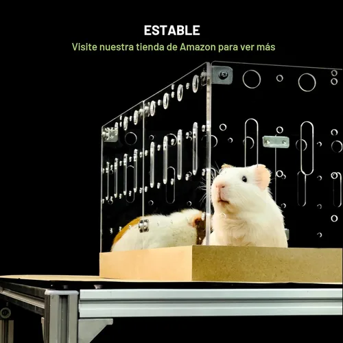 Miniatura 4 de GuineaLoft™ Model-A - Jaula acrílica para conejillos de indias – Jaula grande expandible de 4 x 2 pies, funciona también para pequeños animales
