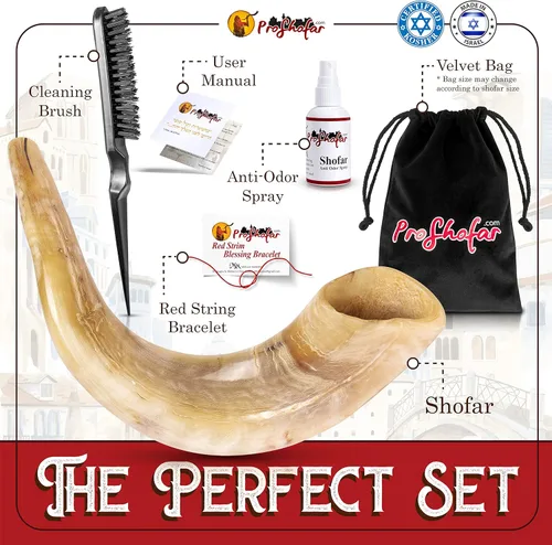 Miniatura 2 de Shofar Set (bolsa de transporte de terciopelo, aerosol neutralizador de olores, cepillo de limpieza, guía y pulsera roja de Tierra Santa) Ram Shofar