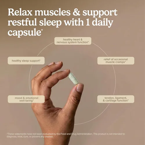 Miniatura 4 de Terry Naturally Complejo de magnesio BioActive - Apoyo a la salud ósea y cardíaca - Suplemento con vitamina B6, zinc y magnesio - Suplemento