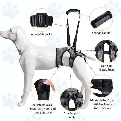 Miniatura 7 de LIANZIMAU Arnés de elevación ajustable para perros grandes, soporte de pierna trasera, soporte de elevación para perros mayores, soporte de Gris