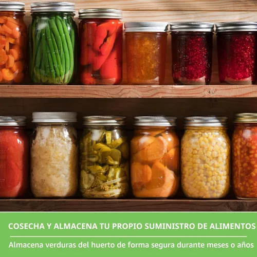 Miniatura 4 de Survival Farmer Seed Vault - Paquete de 100 semillas de verduras tradicionales para plantar, verduras, frutas y hierbas sin OMG, kit sellado
