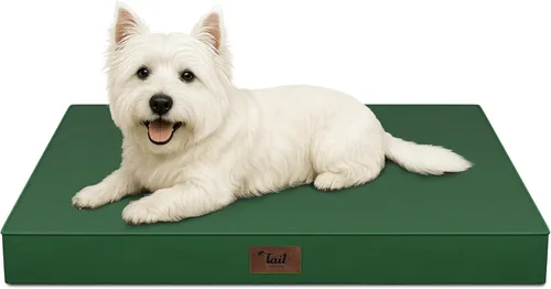 Miniatura 55 de Cama ortopédica de felpa para perros y cachorros medianos, camas impermeables para perros de 30 x 20 pulgadas con funda extraíble lavable, tapete