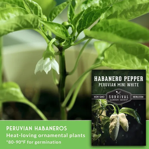 Miniatura 3 de Survival Garden Seeds - Mini semilla de pimiento habanero blanco para plantar - 1 paquete con instrucciones para plantar y cultivar pimientos