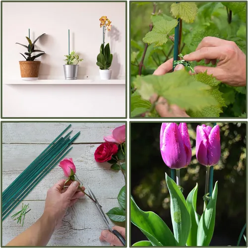 Miniatura 6 de Estacas de bambú verde para plantas, soporte para plantas de interior y exterior, palos de bambú resistentes de madera de jardín, estacas de soporte