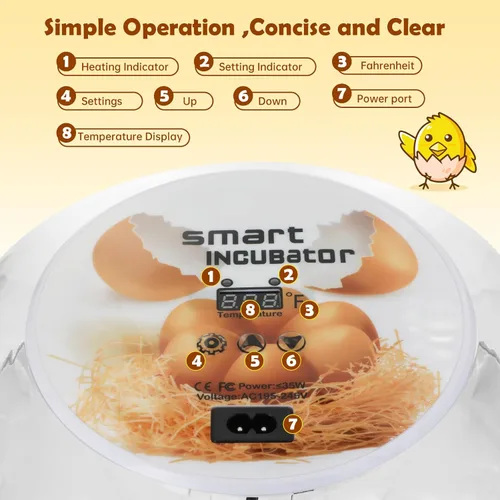 Miniatura 5 de Incubadora de huevos para incubar pollitos, girador automático de huevos con capacidad para 12 huevos, incubadora inteligente con ventana