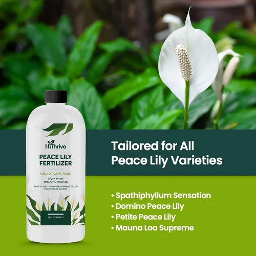 Miniatura 7 de Fertilizante líquido para plantas de lirio de la paz de 16oz - Produce 96 galones de fertilizante para lirio de la paz - Alimento líquido rico