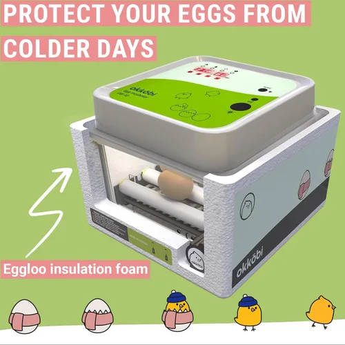 Miniatura 5 de OBI-12 Incubadoras de huevos para incubar huevos - Incubadora para 12 huevos con girador automático de huevos - Incubadora para huevos de gallina