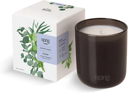 Miniatura 7 de Sprig by KOHLER - Vela de aromaterapia para dormir con lavanda y vainilla, cera de soja 100% natural, aroma relajante y pacífico, regalo