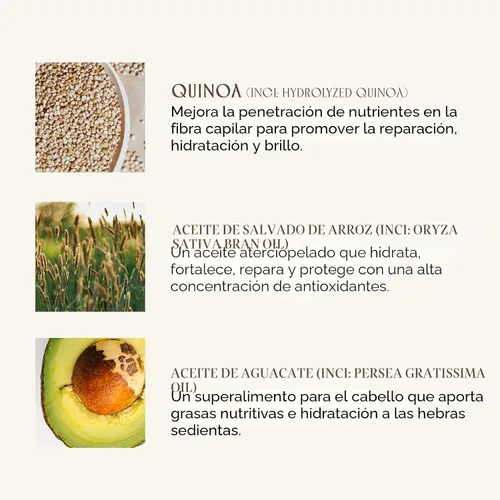 Miniatura 5 de INNERSENSE Organic Beauty - Champú de baño natural Pure Harmony No tóxico, libre de crueldad, cuidado del cabello limpio (10 onzas)