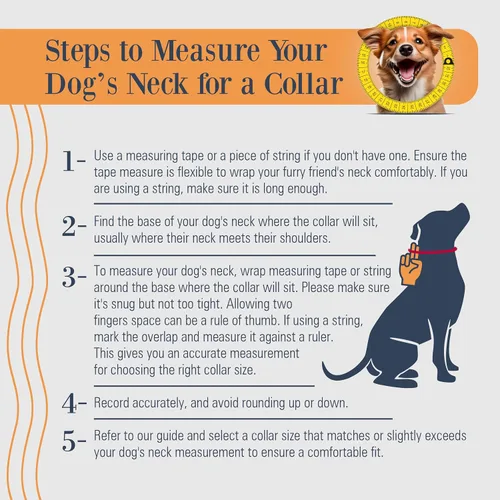 Miniatura 6 de Filbert Collar de cuero para perro, collar de cuero genuino para perros pequeños, estampado de patas en relieve con hebilla, grano completo curtido