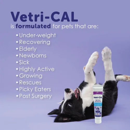 Miniatura 2 de Gel nutricional alto en calorías para perros, gatos, cachorros y gatitos – Potenciador del apetito con Omega 3-6-9, vitaminas A-D-E-B – Recuperación