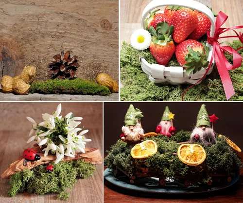 Miniatura 3 de Musgo de reno preservado de musgo falso de 3.5 onzas para plantas en maceta, artes y manualidades, terrarios, decoración de pared, centros de mesa