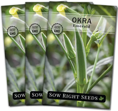 Miniatura 8 de Sow Right Seeds - Semillas de okra esmeralda para plantar - Paquete de reliquia sin OMG con instrucciones para plantar un huerto casero - Cápsulas