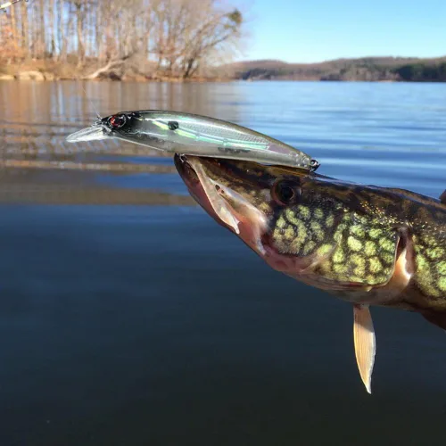 Miniatura 7 de Sougayilang Juego de señuelos de pesca Crankbaits, cebos duros, cebos de natación, para bote, para superficie, señuelos para trucha, lubina, perca