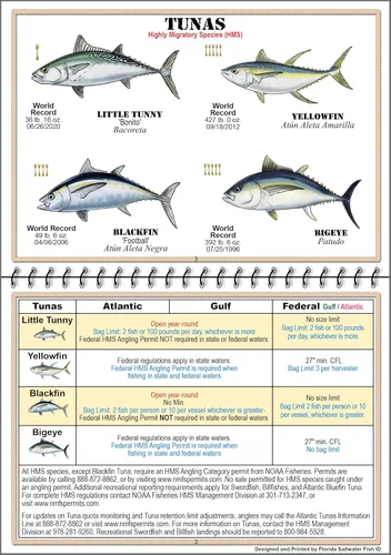 Miniatura 4 de Libro de Identificación de Peces de Agua Salada de Florida con Reglas, Regulaciones, Límites y Tamaños de FWC, Incluye Más de 90 Fotografías Marinas