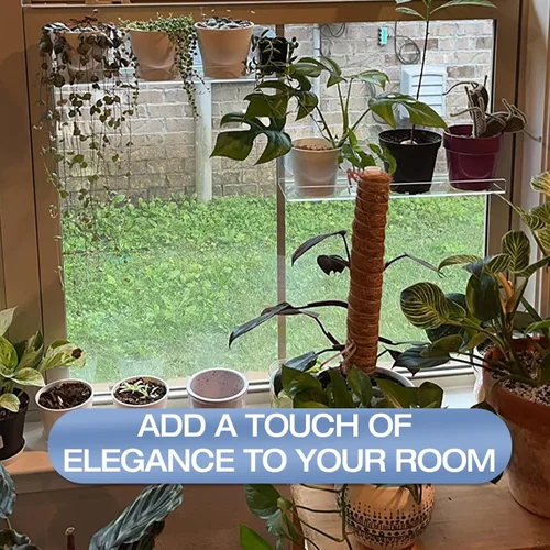 Miniatura 5 de Paquete de 2 cajas de ventana de acrílico de 12 pulgadas, estantes para plantas, con extensor de alféizar de ventana con ventosa, para suculentas