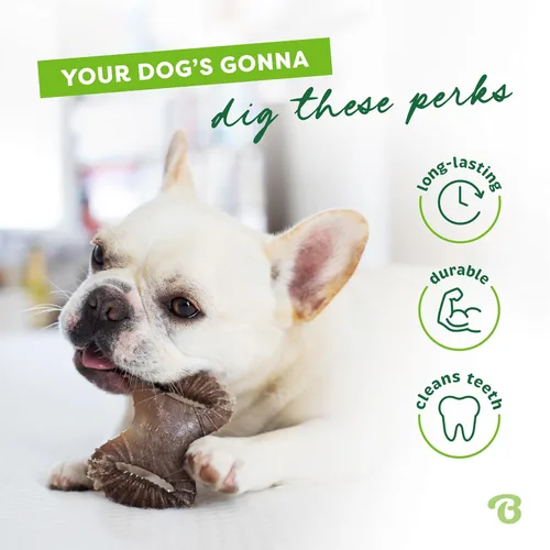 Miniatura 3 de Benebone Paquete de 2 juguetes masticables para perros, hechos en Estados Unidos, sabor a tocino real