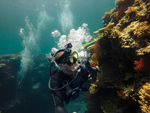 Miniatura 6 de GoPro Filtro de buceo para carcasa de buceo (Magenta) (accesorio oficial de GoPro )