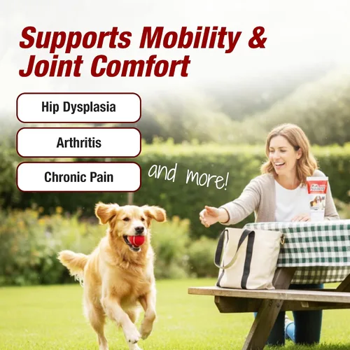 Miniatura 4 de Pet Dolor Away – Todos los Homeopática naturales de la cadera y suplemento para perros y gatos conjunta, Crónica y Artritis Alivio del Dolor