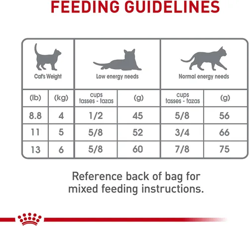 Miniatura 8 de Royal Canin Feline Care Nutrition Dental Care Alimento seco para gatos adultos, bolsa de 3 libras