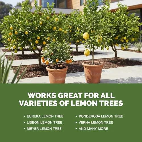 Miniatura 5 de Abono para Árbol de Limón, Alimento Completo para Plantas de Árbol de Limón, 8 oz (250mL)