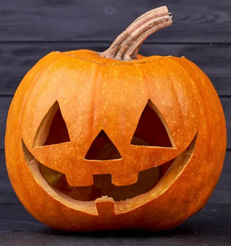 Miniatura 2 de Semillas de calabaza para plantar, paquete de 4 variedades: Big Max, Jack-O'-Lantern, Jarrahdale, Sugar Pie, Semillas de reliquia sin OMG