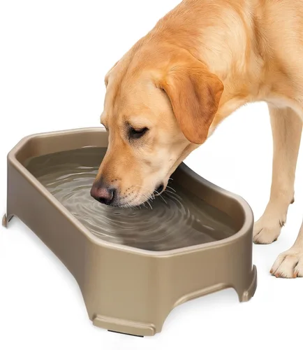 Miniatura 19 de Neater Pet Brands Cuencos para gatos de gran capacidad, cuenco de agua para gatos, reptiles, pollos, aves y animales pequeños, cuenco de comida