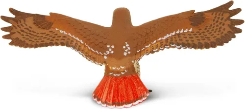 Miniatura 6 de Safari Ltd. Figura de halcón de cola roja, figura detallada de plástico de 5.75 pulgadas con envergadura, divertido juguete educativo para niños