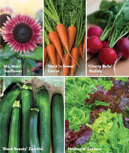 Miniatura 4 de Burpee Flores, Hierbas y Vegetales Sembrados en el Jardín, 10 Paquetes de Albahaca, Lechuga, Pepino, Rábano, Espinacas, Col Rizada, Calabacín