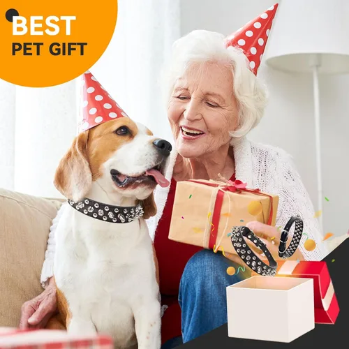 Miniatura 6 de PETCARE Collar de Perro con Pinchos Negro de Cuero PU Suave con Hongos Divertidos Remaches y Tachuelas Collar de Cachorro Ajustable para Exteriores