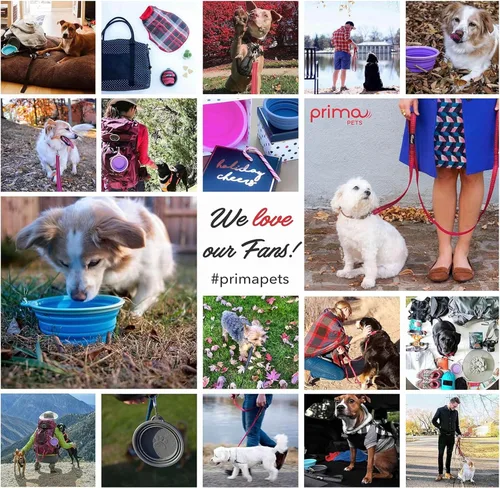 Miniatura 9 de Prima Pet Plegable Silicona Food & agua Tazón con clip de viaje para perro y gato, tamaños disponibles: pequeño (1,5 tazas) & Grande (5 tazas), Agua
