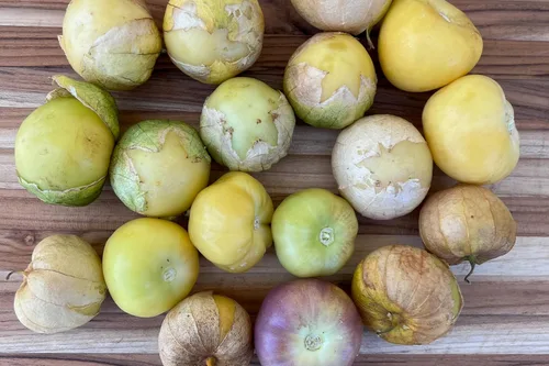 Miniatura 3 de Plant Good Seed Semillas de tomatillo orgánico Toma Verde – Paquete de 50, semillas tradicionales para plantar verduras – Suministros de jardinería