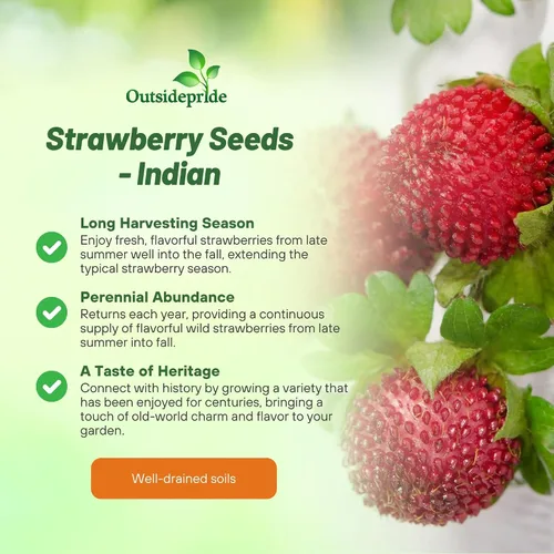 Miniatura 3 de Outsidepride Plantas frutales indias de fresa y cobertura del suelo - 500 semillas