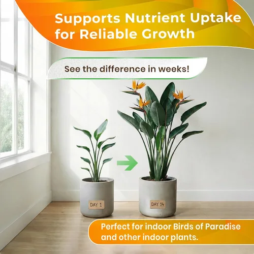 Miniatura 4 de Bird of Paradise - Mezcla profesional para macetas de 2.2 cuartos de galón, lista para usar, tierra de interior premium para plantas de aves