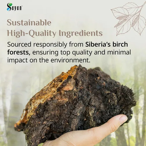 Miniatura 6 de Sayan Siberian Pure - Polvo de chaga grueso crudo de 4 onzas / 3.99 oz – Té súper antioxidante cosechado en bosque silvestre de primera calidad