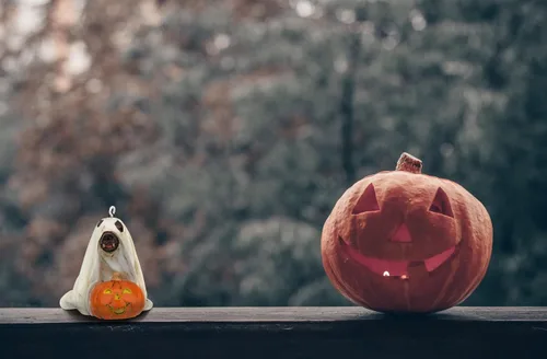 Miniatura 8 de Tree Buddees Lindo perro vestido como fantasma con calabaza adorno de Halloween