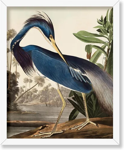 Miniatura 35 de Poster Master Vintage James Audubon Póster - Impresión Retro de Cuervo - Arte de Aves de América - Arte de Aves - Regalo para Hombres, Mujeres
