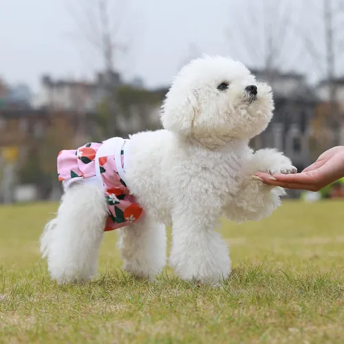 Miniatura 5 de Pañales reutilizables para perros femeninos, paquete de 3 unidades, pañales premium altamente absorbentes para perros, pañales flexibles