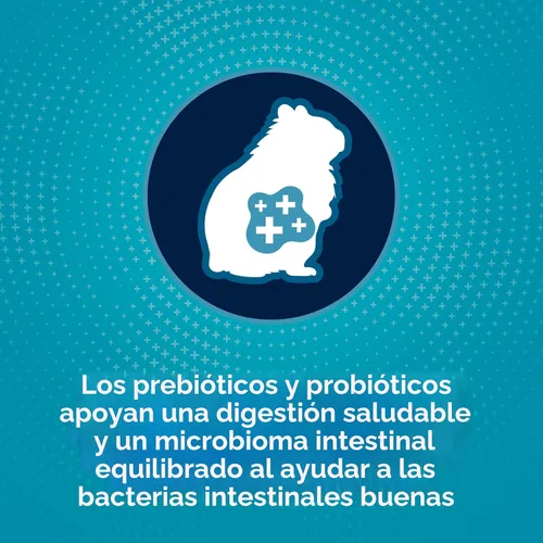 Miniatura 5 de Alimento para hámster, Kaytee Forti dieta pro salud, Púrpura