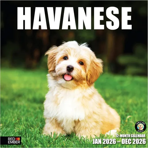 Miniatura 39 de RED EMBER Calendario de pared 2025 con diseño de cachorros de 12 meses, 12 x 24 pulgadas, abierto, papel grueso y resistente, para regalo