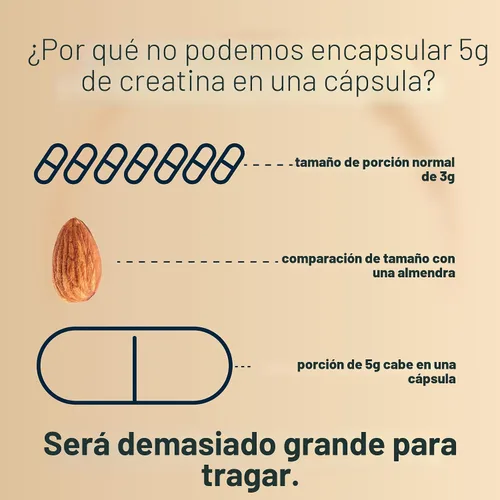 Miniatura 8 de NatureBell Cápsulas de monohidrato de creatina de 5,000 mg por porción, 500 unidades Píldoras de creatina micronizadas y sin sabor Soporte