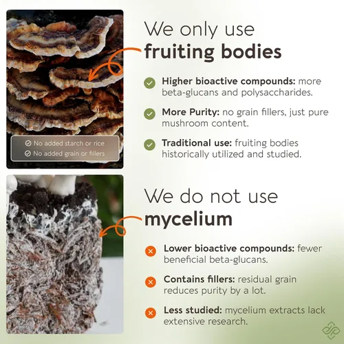 Miniatura 6 de Power 15 Cápsulas de mezcla de hongos Extracto de suplemento de 90 unidades Shiitake, melena de león, chaga, reishi, cordyceps, complejo