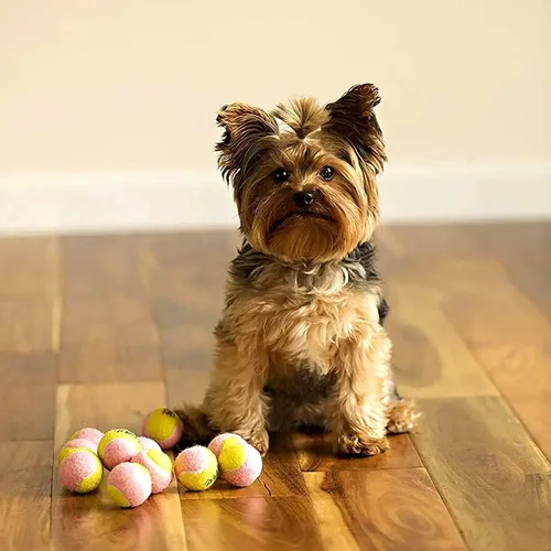 Miniatura 4 de Midlee Pelotas de tenis para perros XS de 1.5 pulgadas, paquete de 12 pelotas de tenis para cachorros, minipelotas de tenis para mascotas